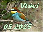 vtaci